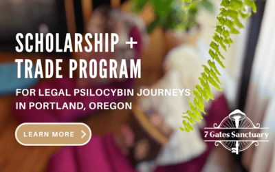 Affordable Psilocybin Journeys: Our Scholarship and Trade Program