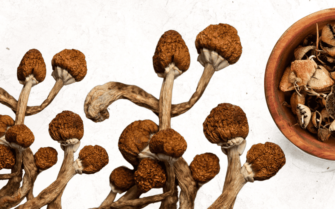 Unlocking Better Sleep and Mental Health: The Promising Connection Between Psilocybin and Sleep